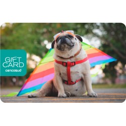 Gift Card Pug