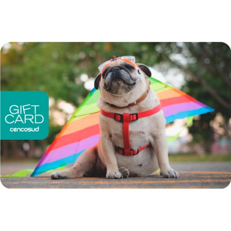 Gift Card Pug